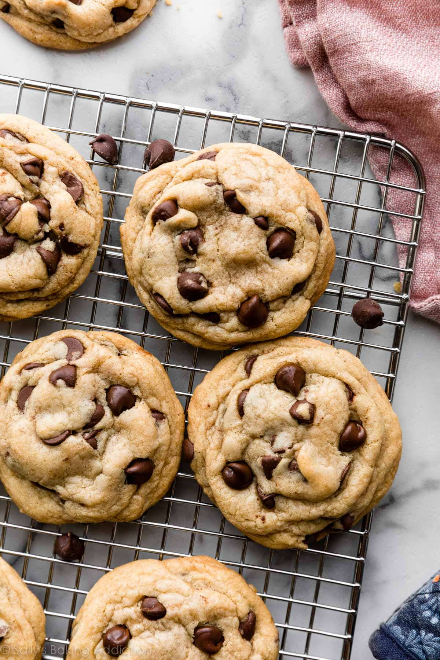 Chocolate Chip Cookie